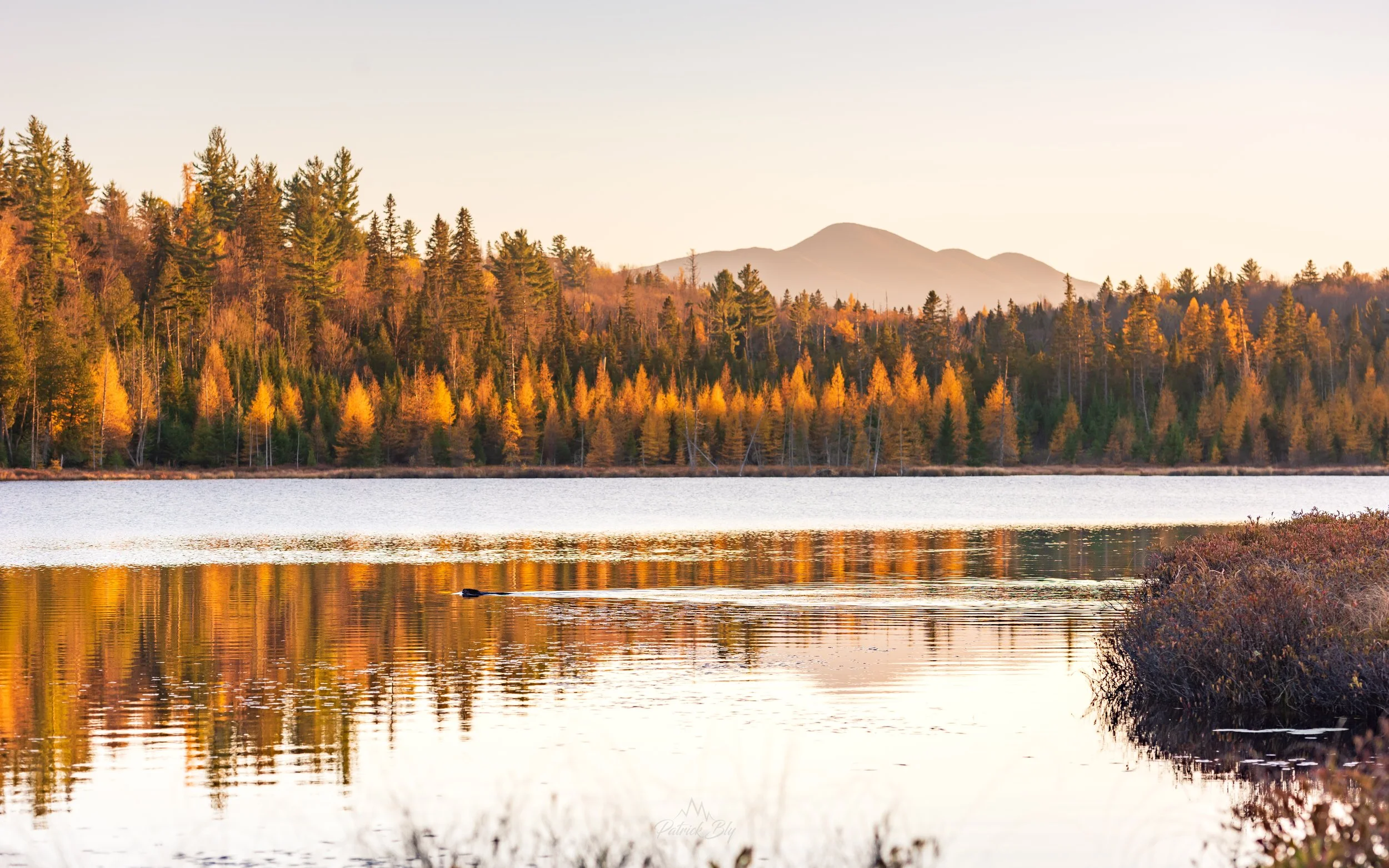 Boundary Waters II