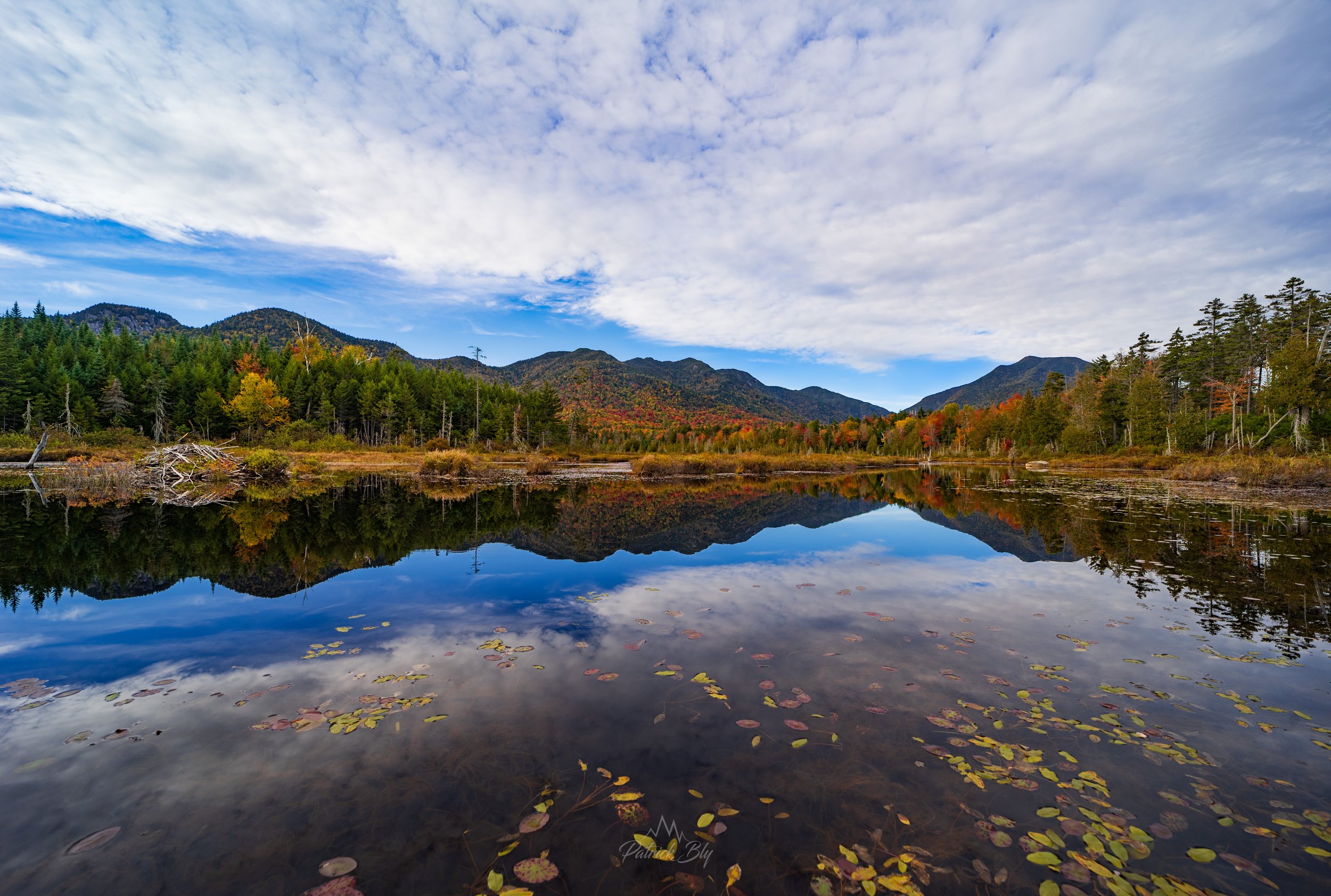 Elk Lake Northwest Bay.jpg