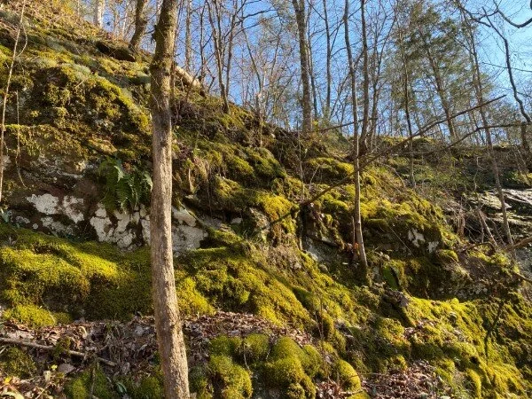 Letter from the Editor