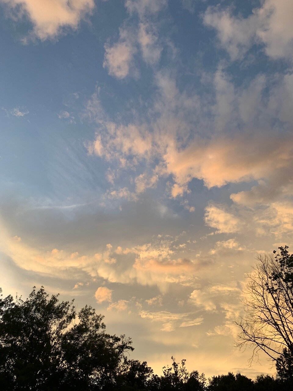 Letter from the Editor: Receiving the Torch