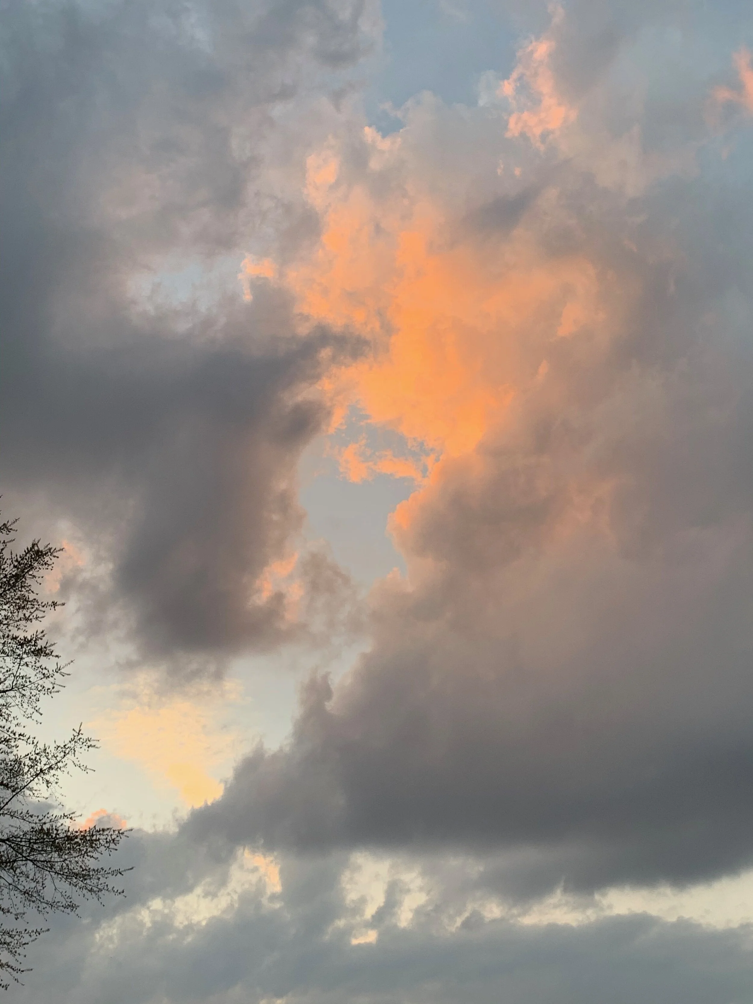 Letter from the Editor