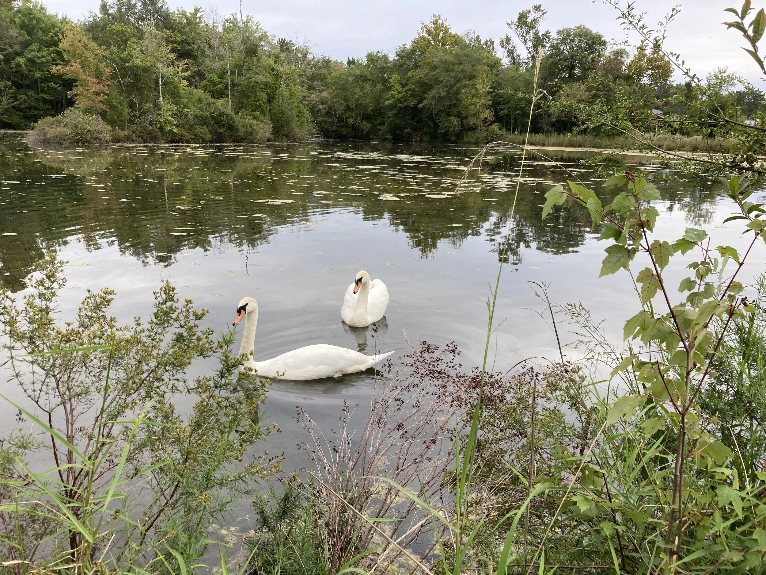 A Letter From the Editor