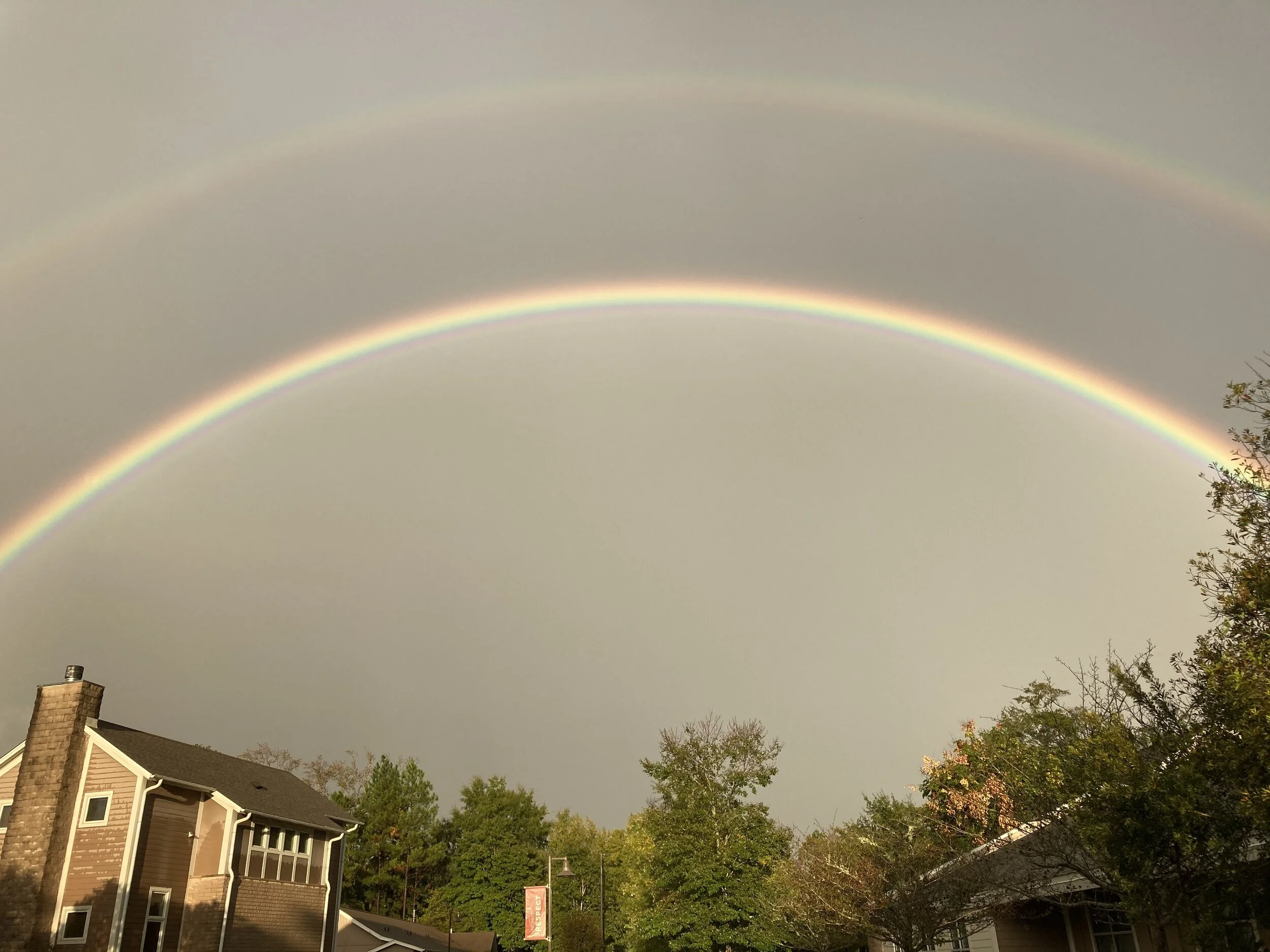 A Letter from the Editor