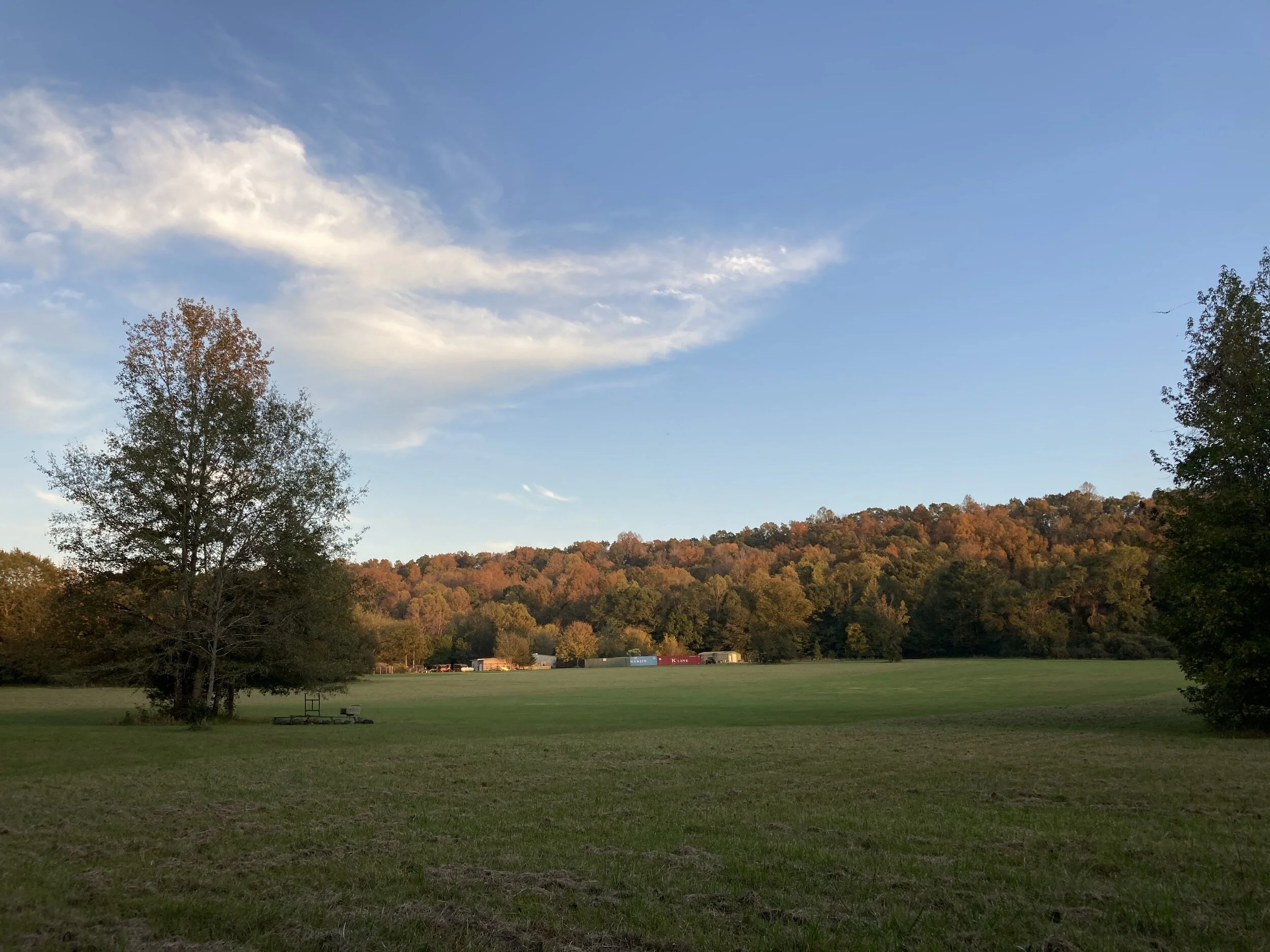 A Letter from the Editor