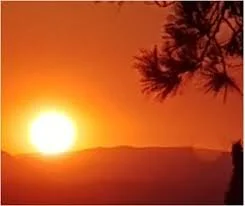 The Museum Conservator 