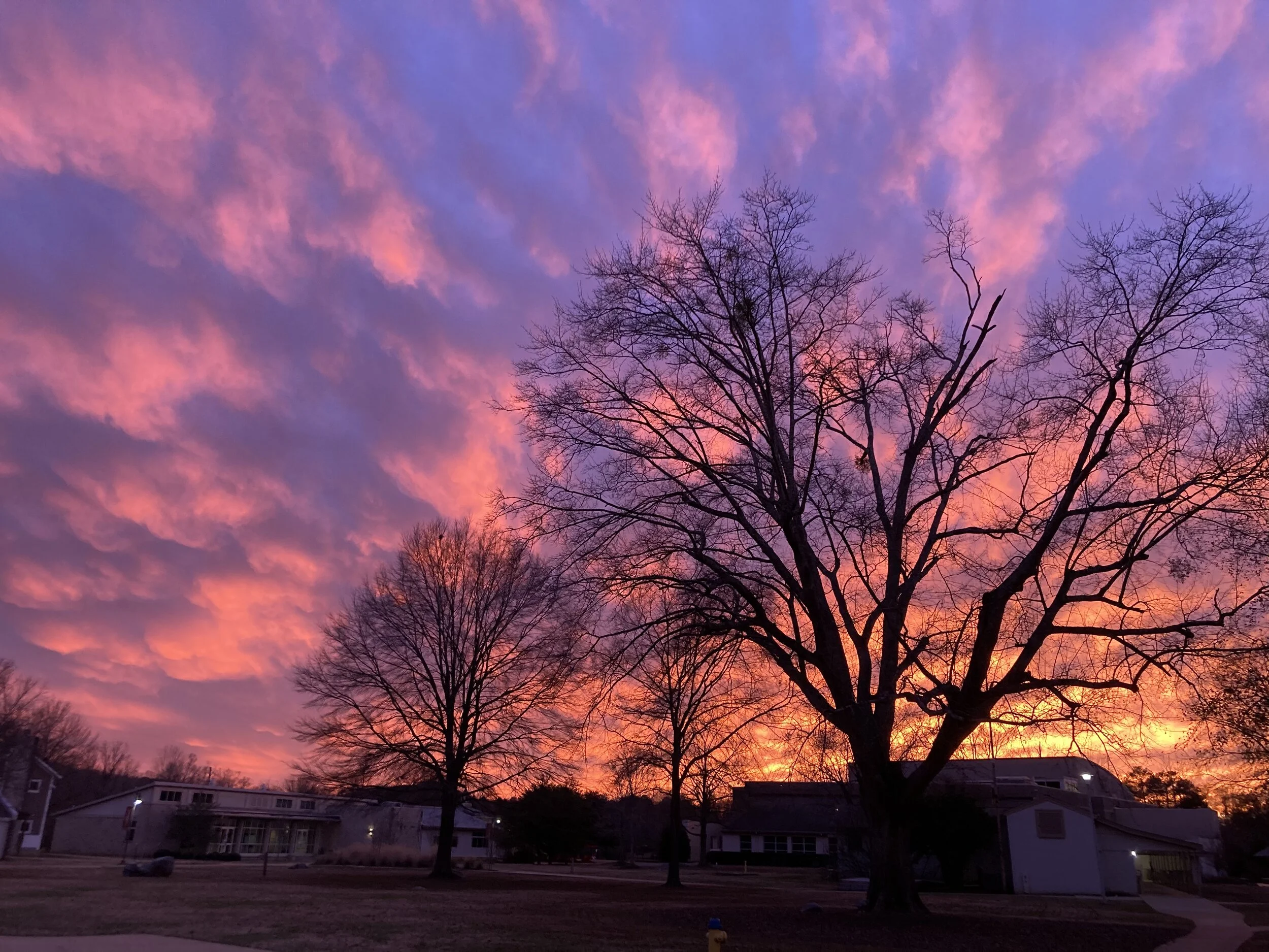 A Letter from the Editor