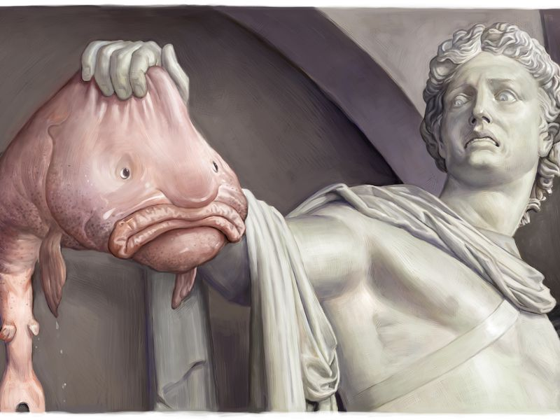 The Wonders of Natural Selection