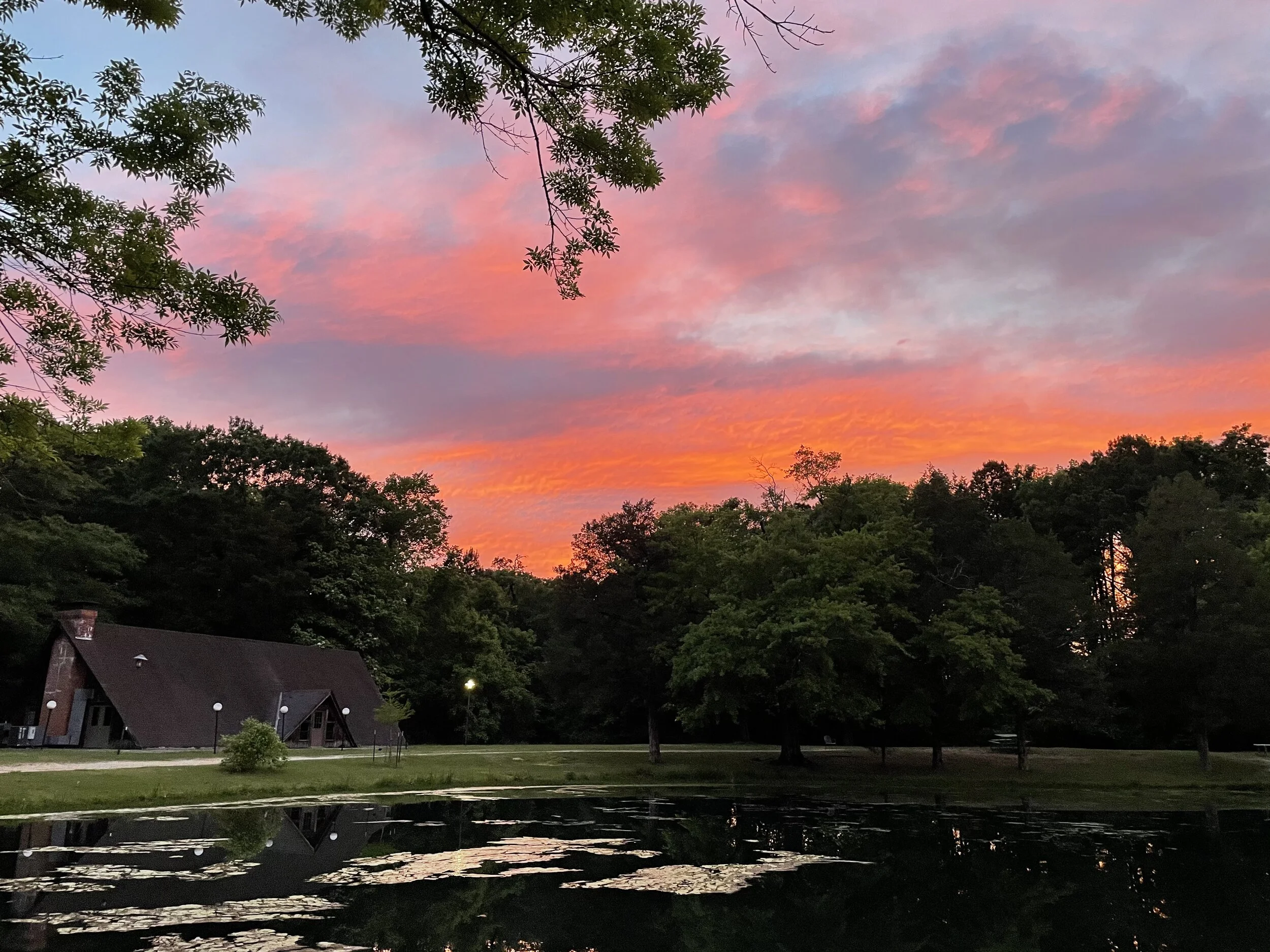 A Letter from the Editor