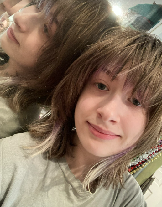 The Evolution of Circulatory Systems in Vertebrates (and brief discussion of respiratory systems)