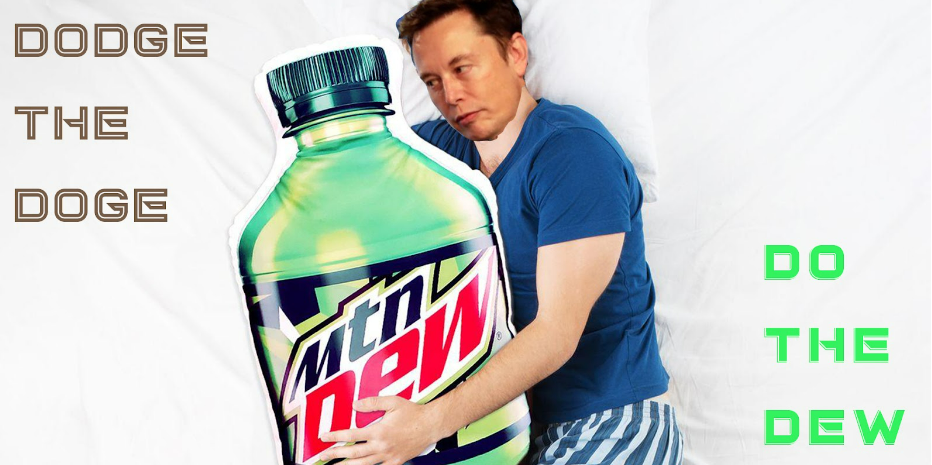 How should you view Elon Musk as a person in 2022