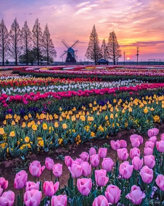 April Letter from the Editor-- Passing the Torch