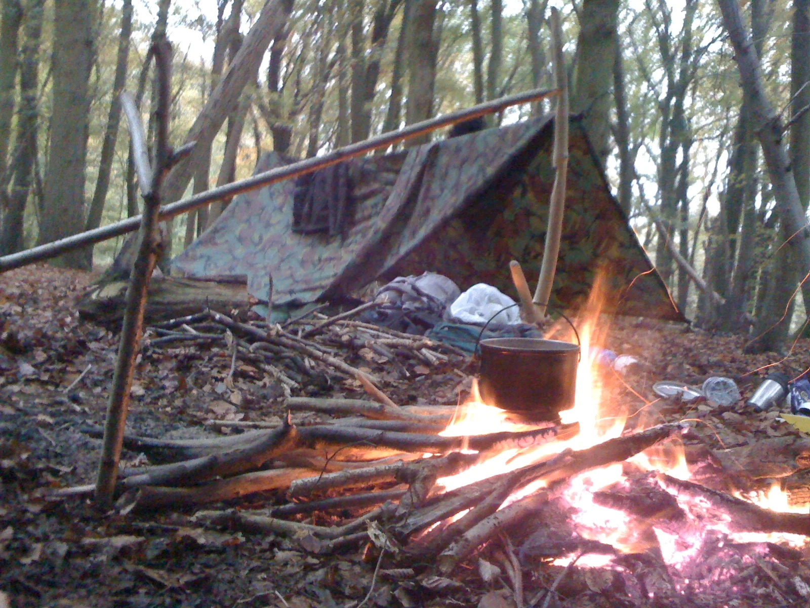 camp1.jpg