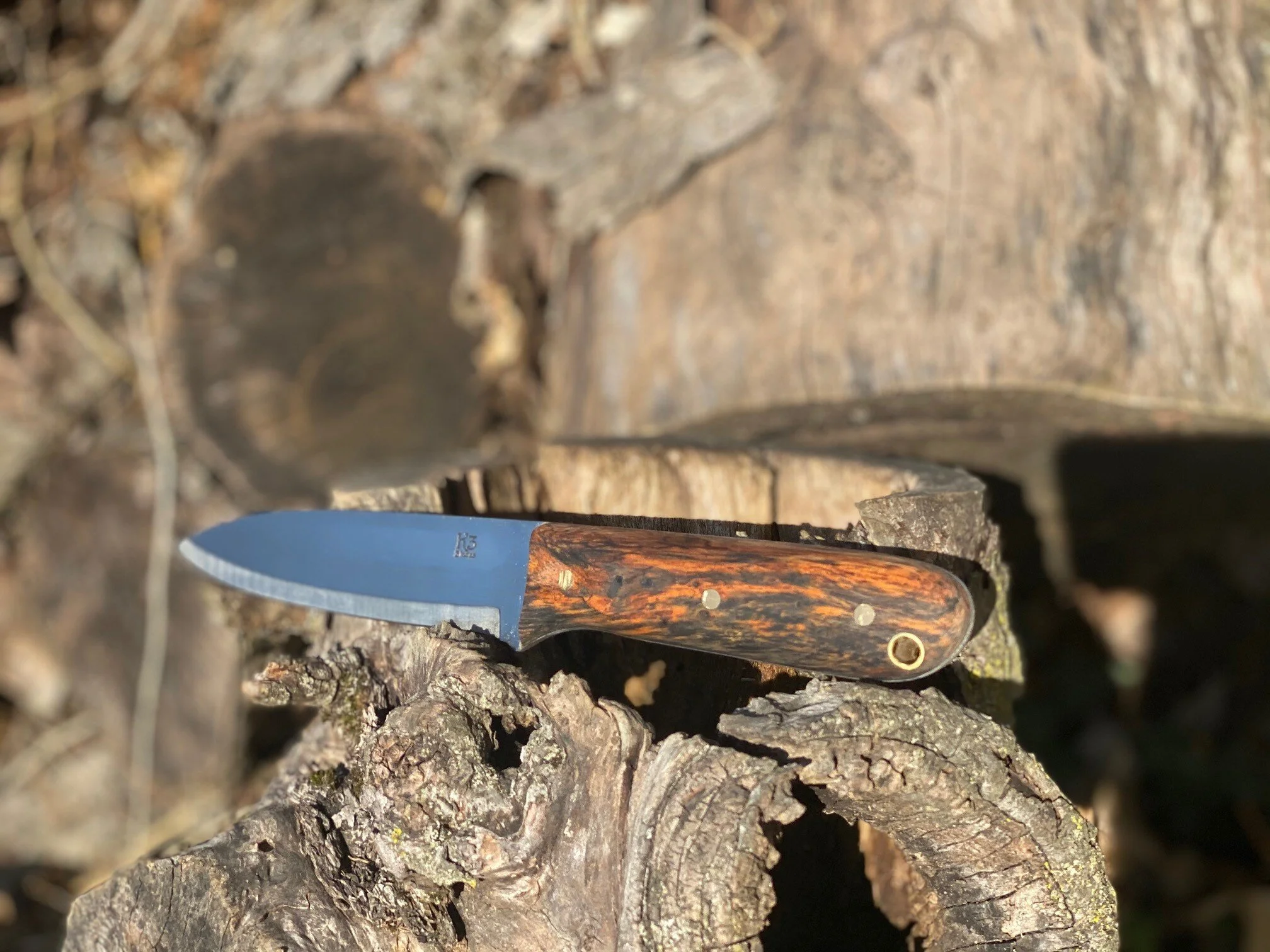 Kephart Persimmon 3.jpg