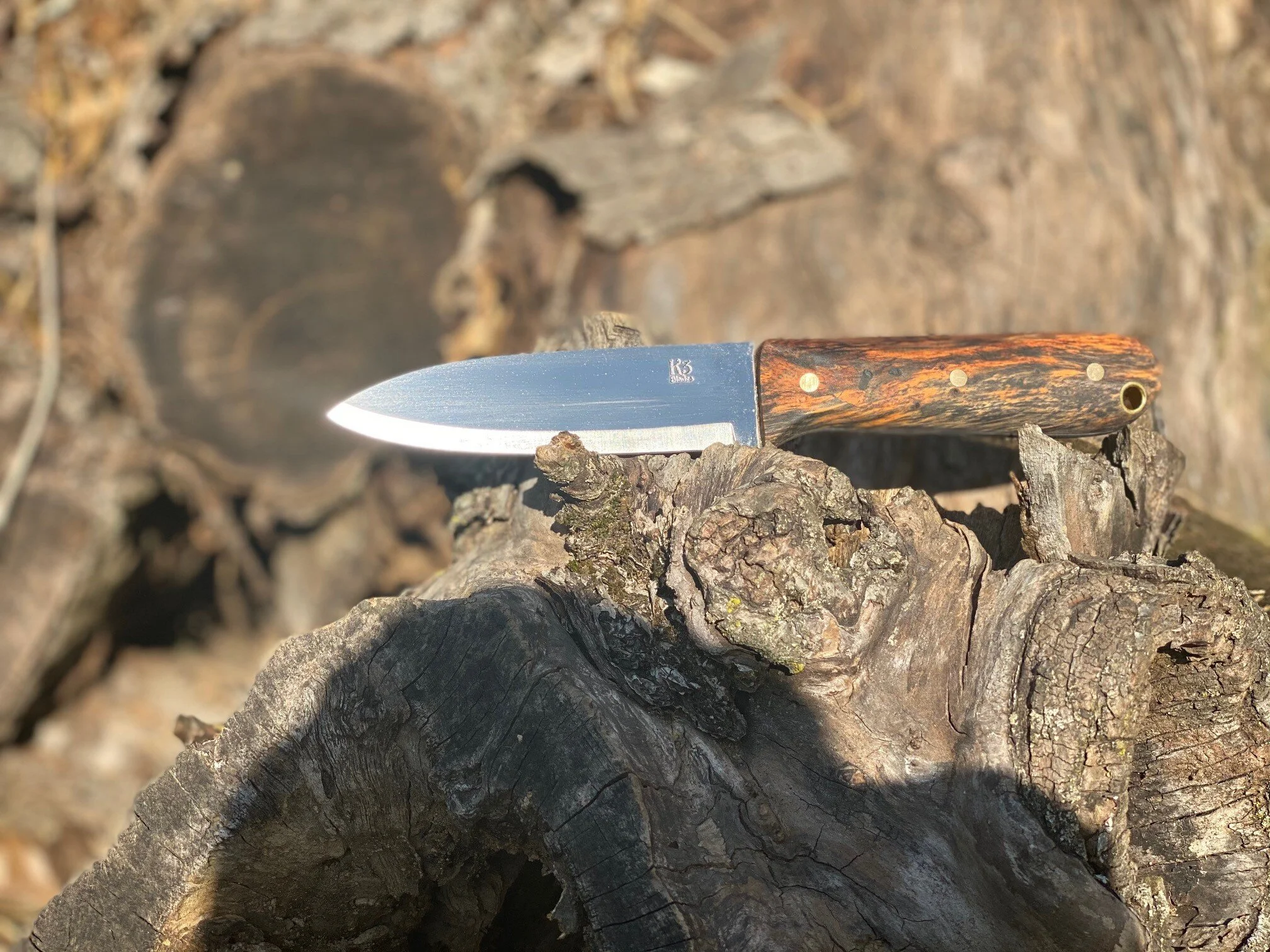 Kephart Persimmon 5.jpg
