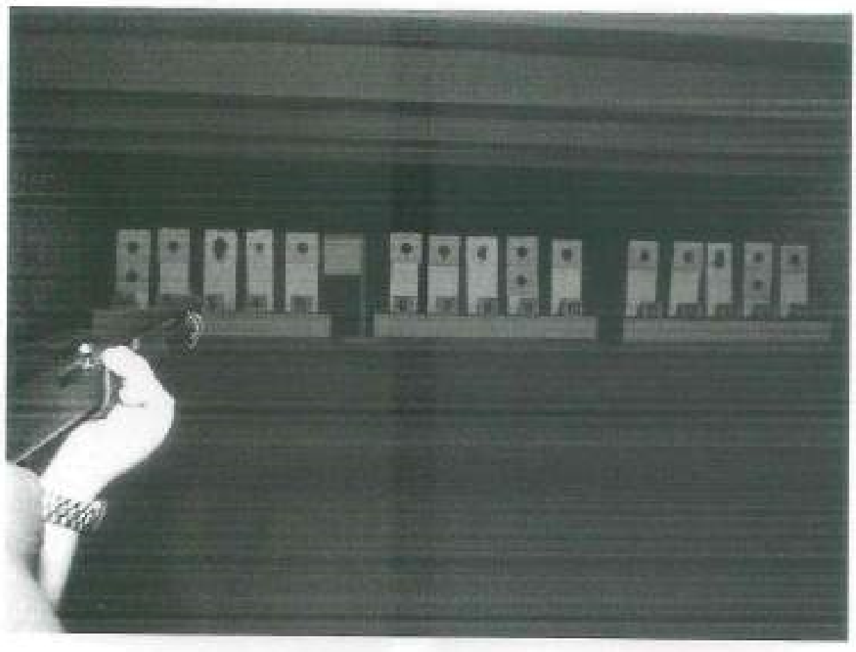  Image from the 2012 report, showing the shooting stance used for the 15-m test. 