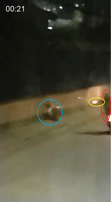  A gunshot is seen and heard. The location of the impact is not clear; a flash to the right of the man may indicate the shot hit the wall, although the quality of the video is not sufficient to define the point of impact with certainty. 