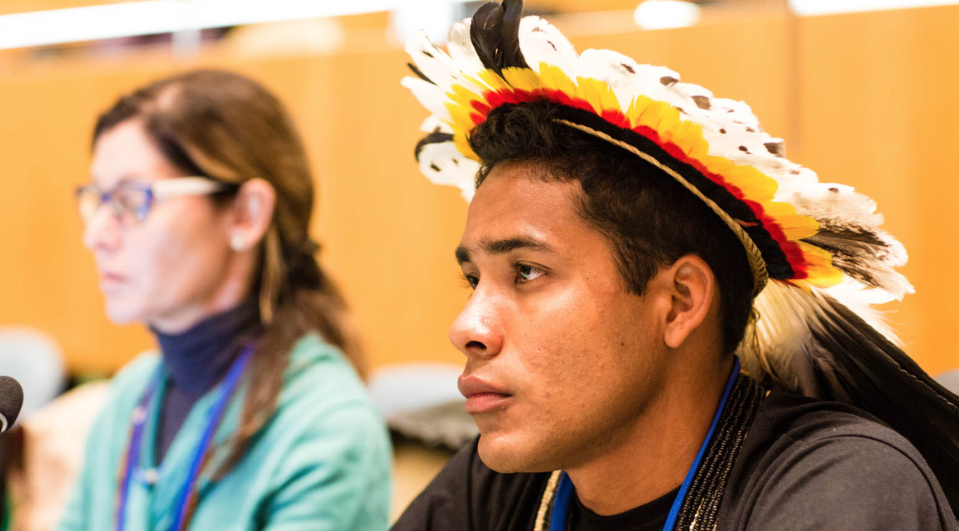 Indigenous Peoples UNPFII.png