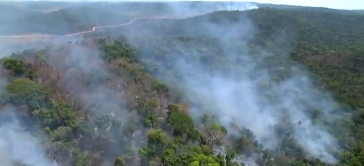 Smoke from the Amazon fires can be seen from space.