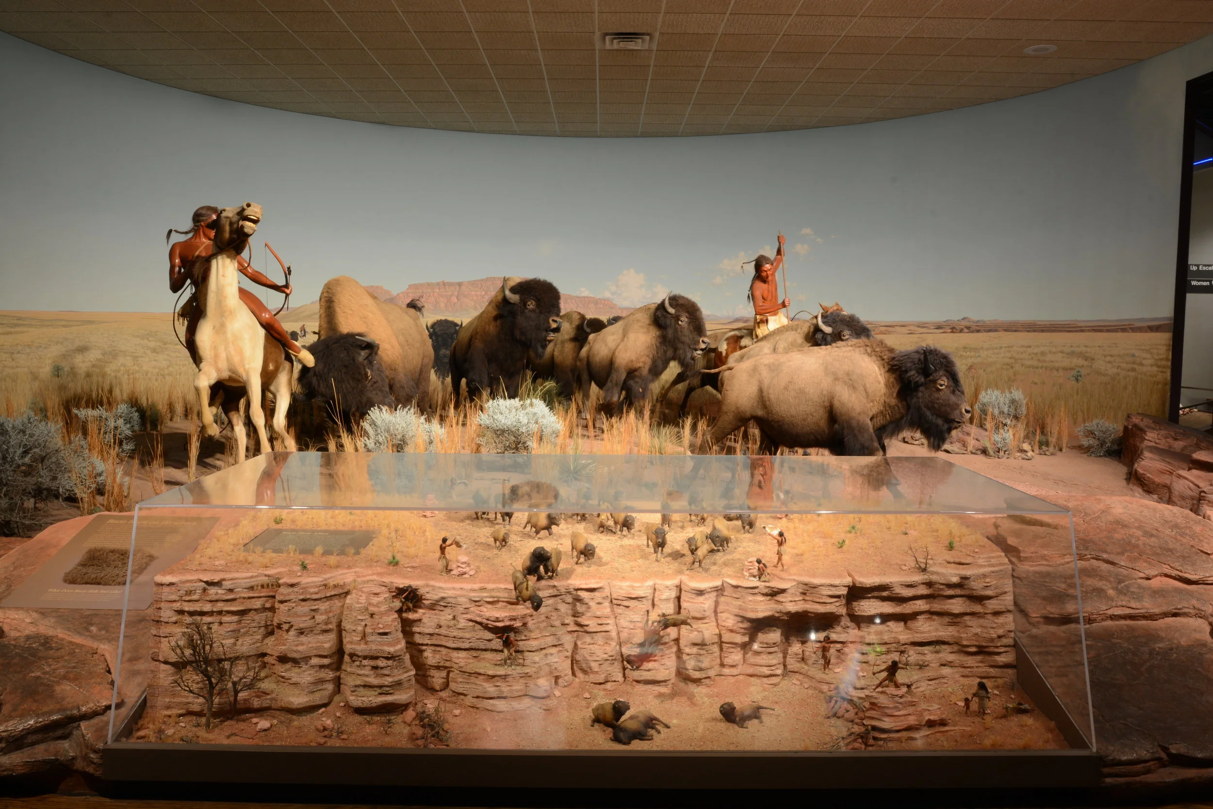   Bison Hunt  at the Milwaukee Public Museum 
