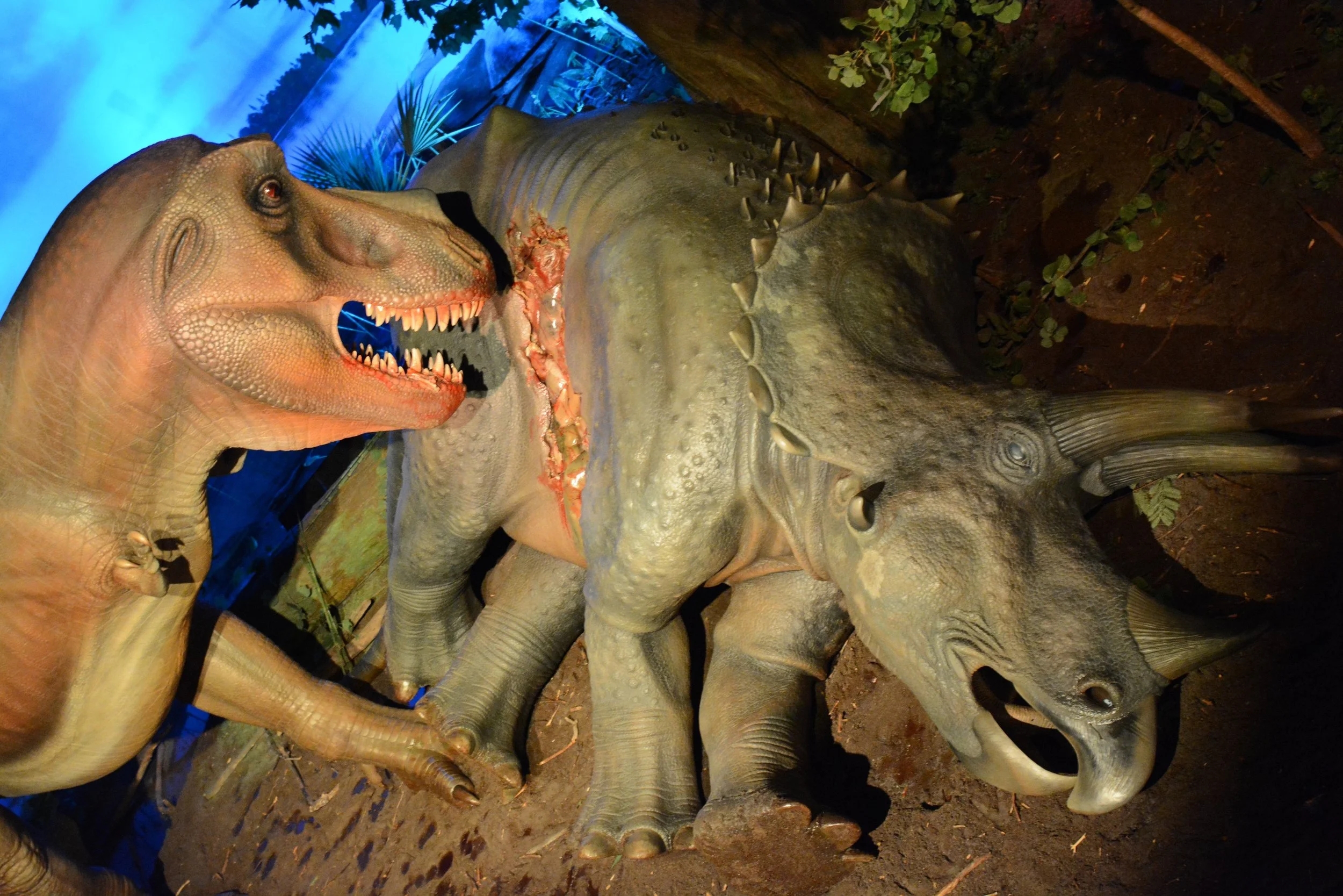   Third Planet  at the Milwaukee Public Museum 