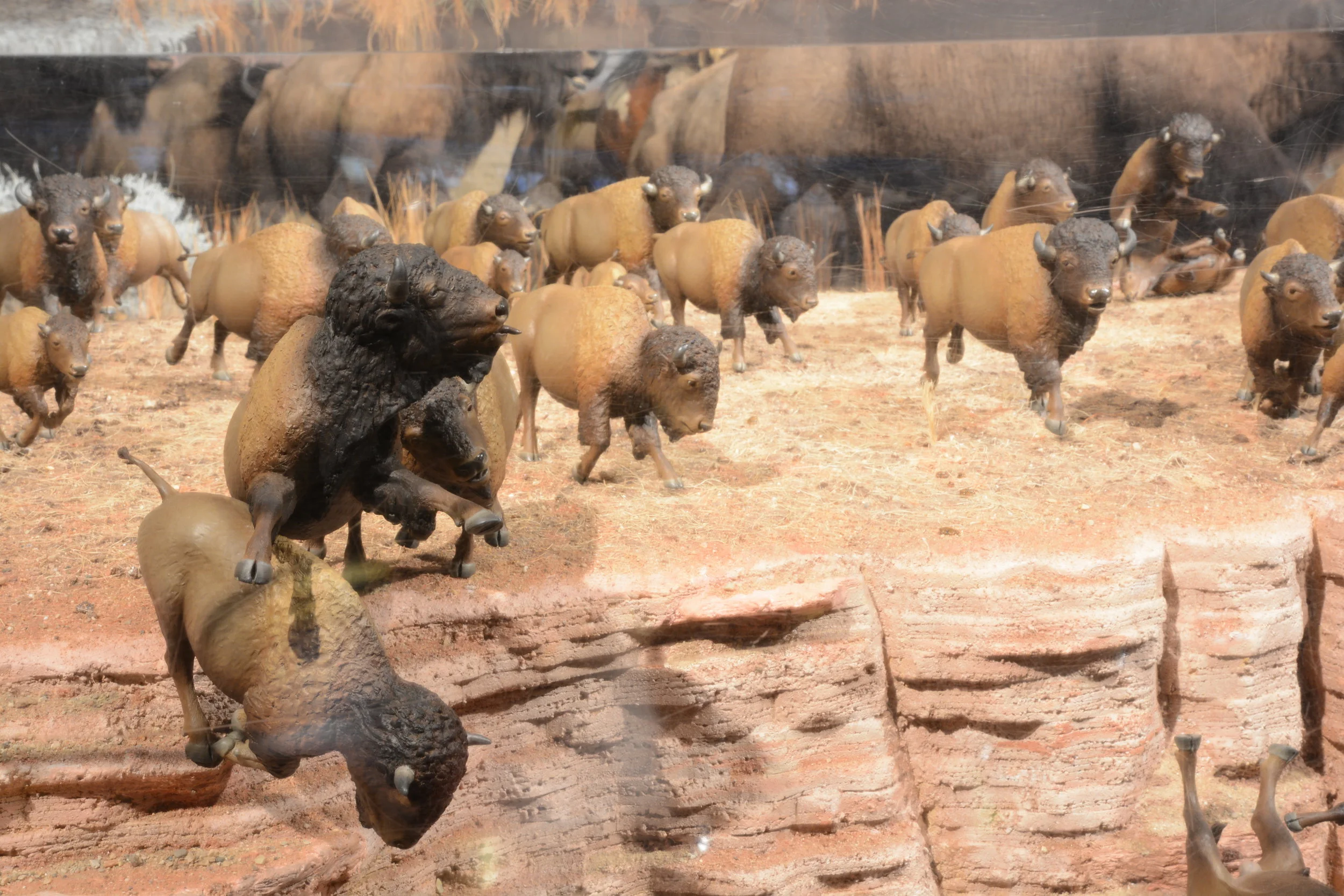  Pre-horse Bison Hunt miniature diorama 