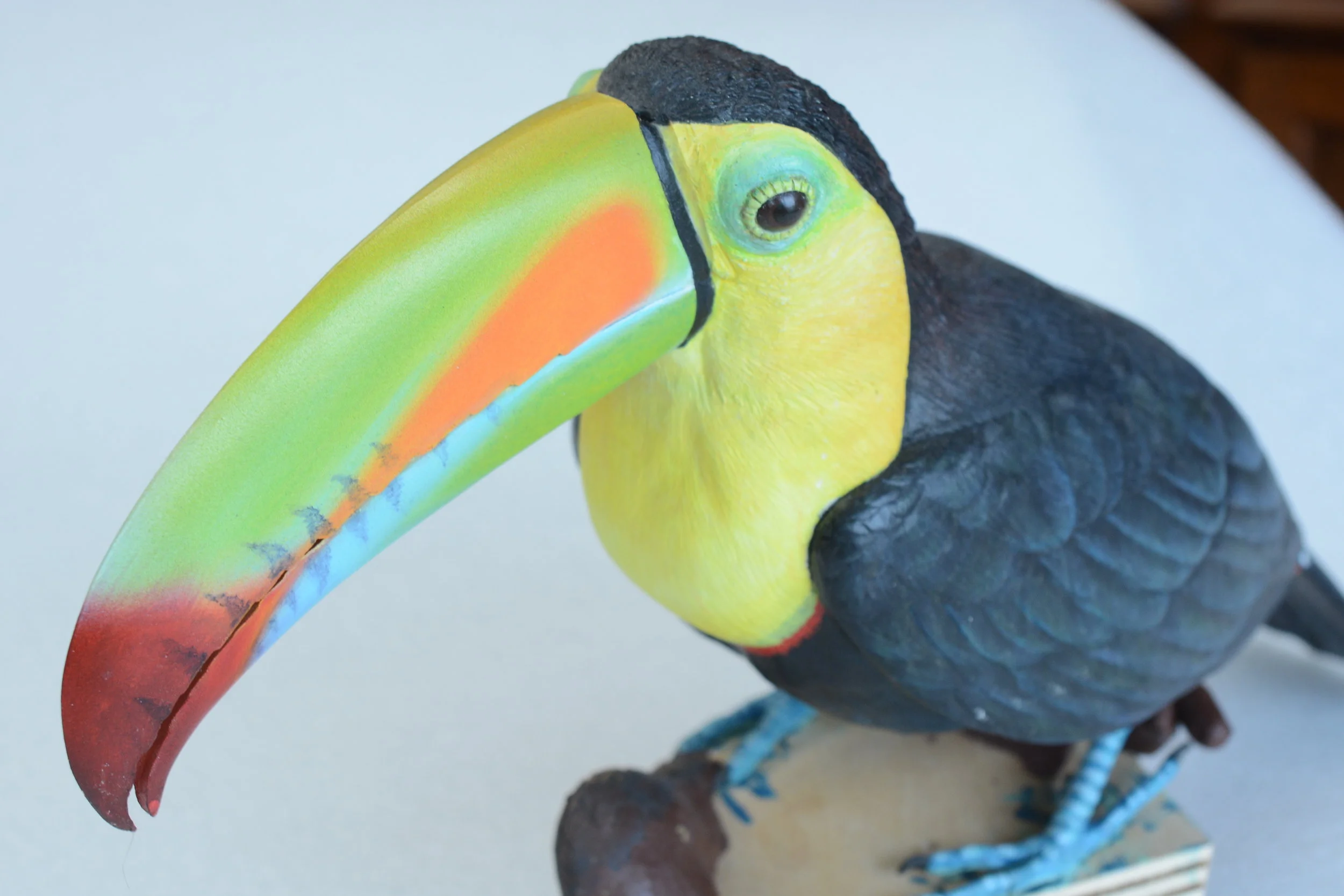 Toucan carving.JPG