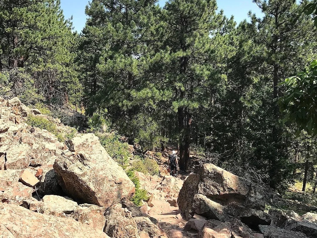 rocky1.jpg