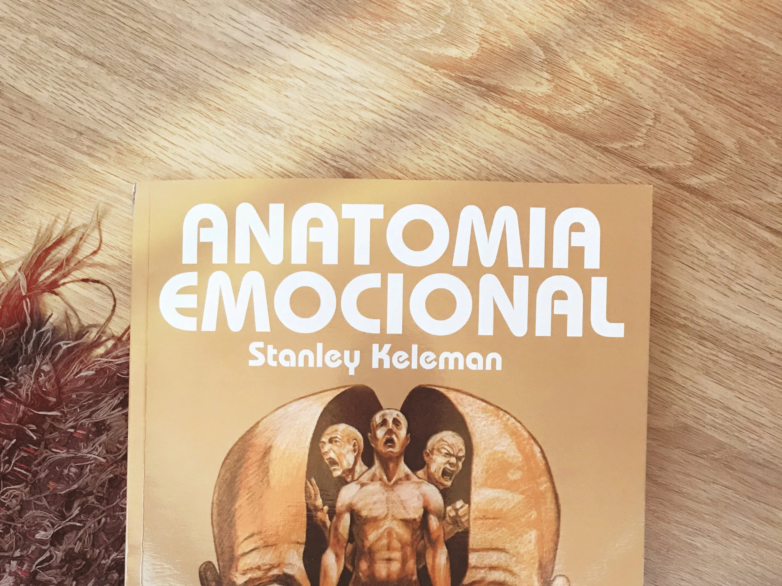 Do livro Anatomia Emocional | Foto: Verena Kacinskis