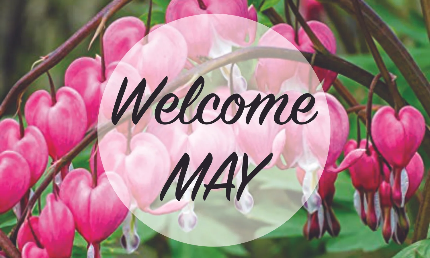May 2019 News