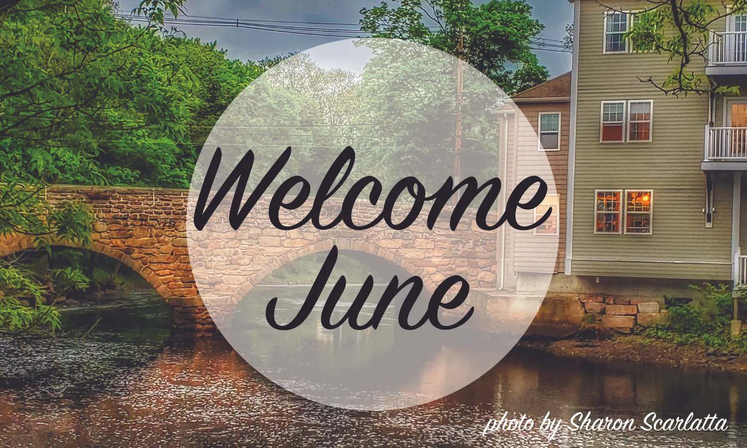 June Newsletter