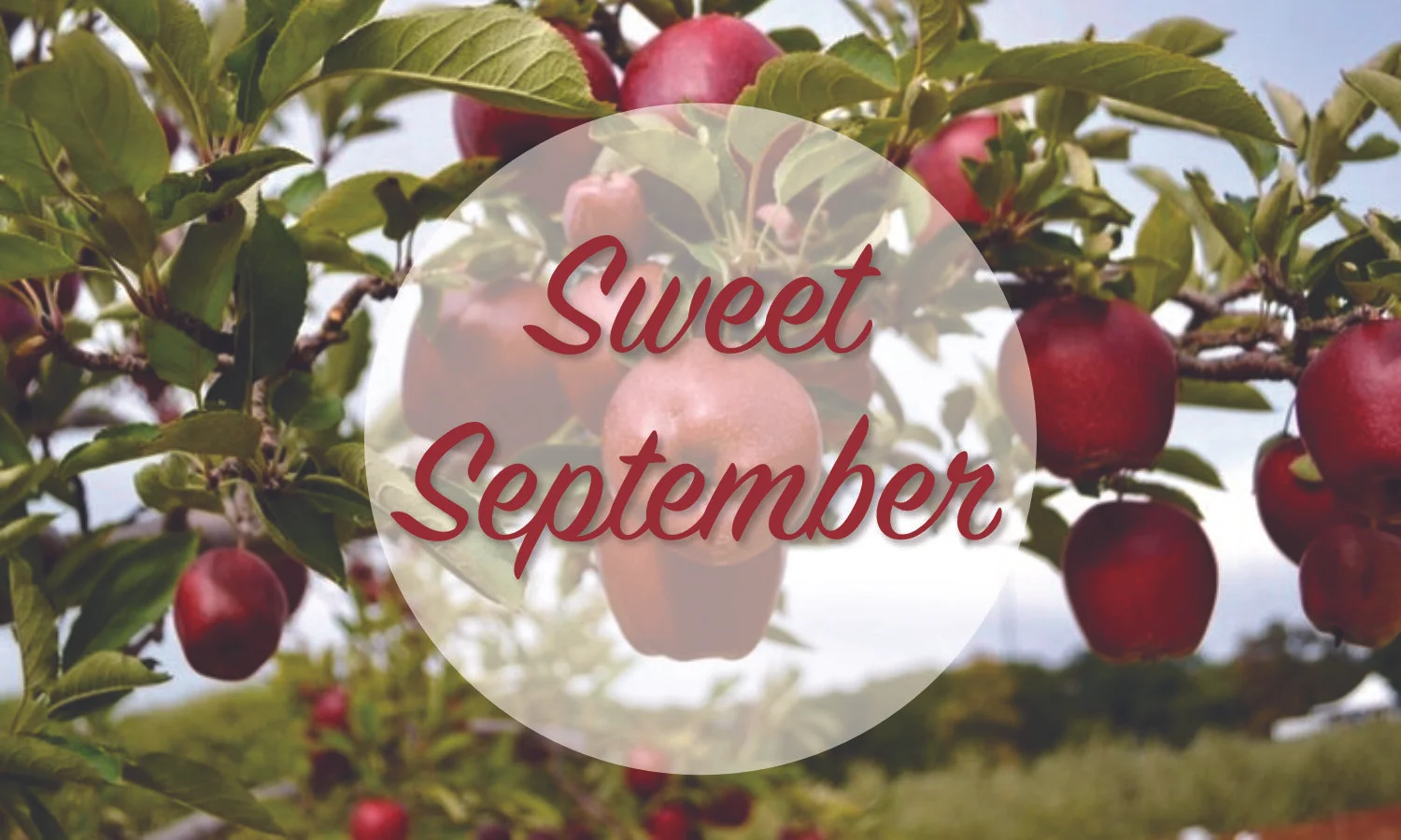 September News
