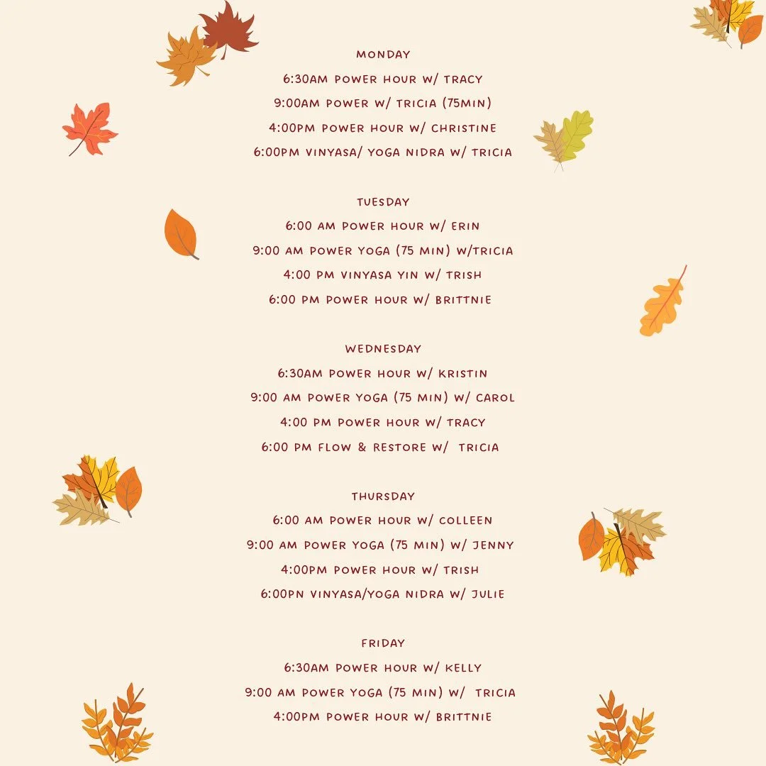 Fall is the perfect time for a new routine. Check out one of our classes from power to yoga nidra&hellip;there&rsquo;s something for everyone 🍂🐘🌳