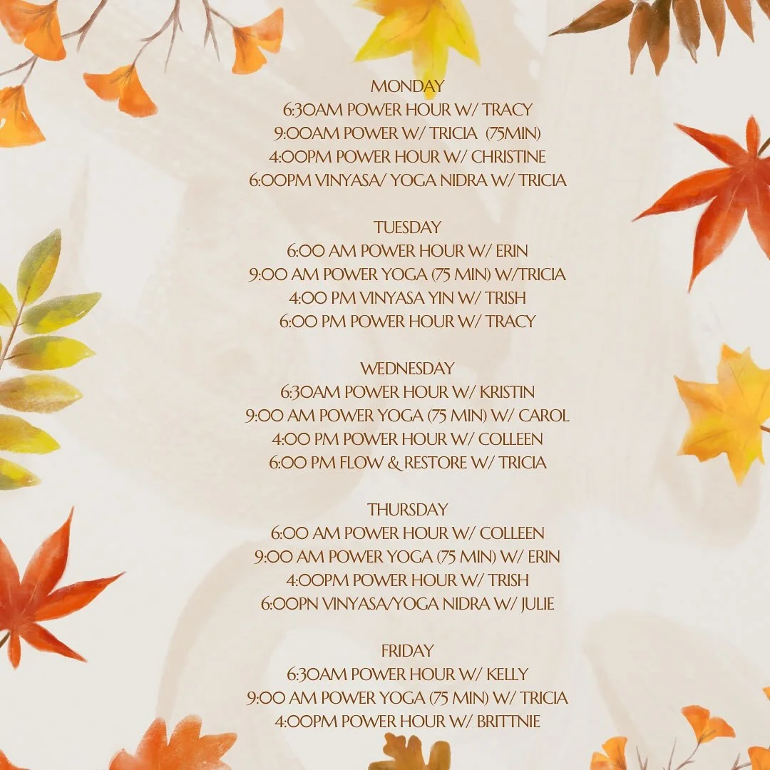 Let&rsquo;s make it a great week, yogis! 🐘🌳🍂
&bull;
&bull;
&bull;
#ety #elephanttreeyoga #ipswichma #ipswichyoga #northshore #northshorema #northshoreyoga #northshoremayoga #poweryoga #power #vinyasa