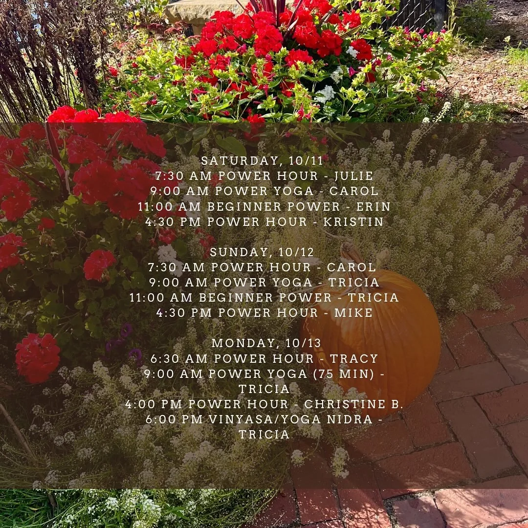 Happy long weekend! We have classes all weekend, so pop in and unwind on the mat! We would love to see you!🐘🌳
&bull;
&bull;
&bull;
#ety #elephanttreeyoga #ipswichma #ipswichyoga #northshore #northshorema #northshoreyoga #northshoremayoga #poweryoga