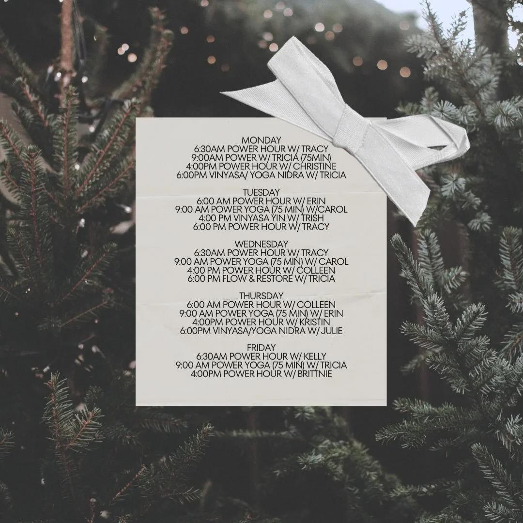 Welcome, December! Join us this week on the mat! 🐘🌳❄️
&bull;
&bull;
&bull;
#ety #elephanttreeyoga #ipswichma #ipswichyoga #northshore #northshorema #northshoreyoga #northshoremayoga #poweryoga #power #vinyasa
