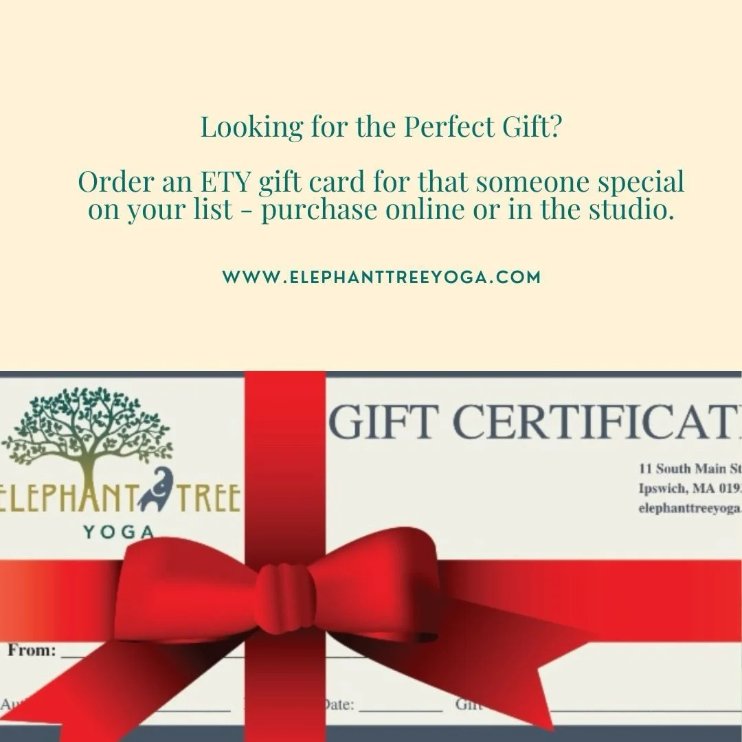 Make holiday shopping easy this year&mdash;grab an ETY gift card for the yogi in your life! 🐘🌳🎅🏼🎄
&bull;
&bull;
&bull;
#ety #elephanttreeyoga #ipswichma #ipswichyoga #northshore #northshorema #northshoreyoga #northshoremayoga #poweryoga #power #