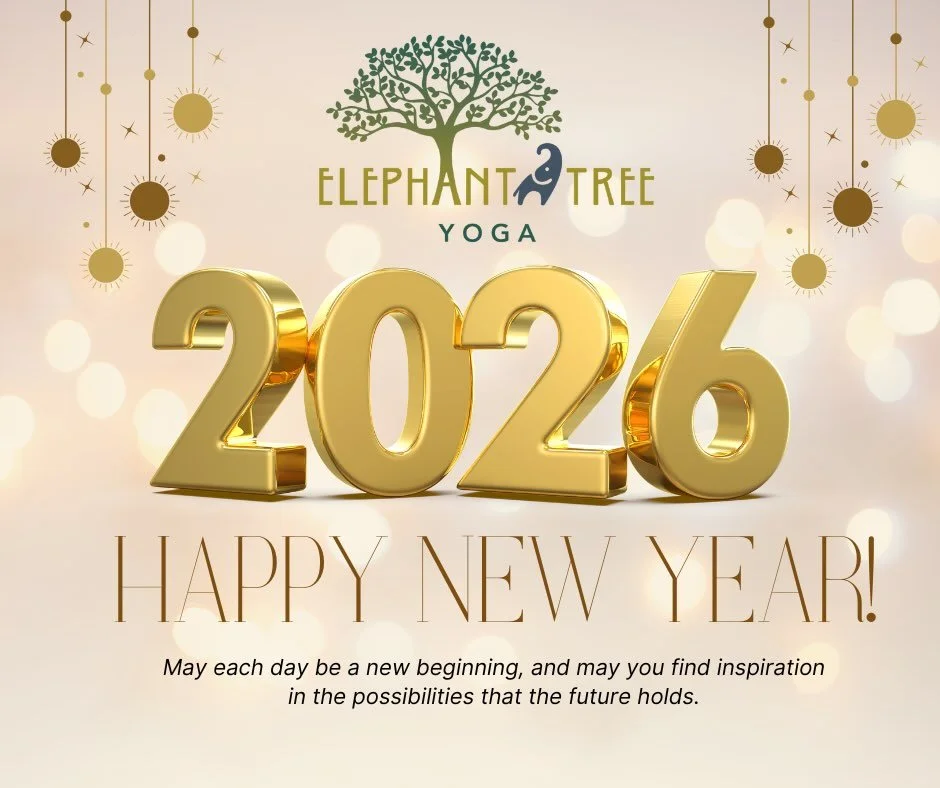 Happy New Year, Yogis!  Wishing you all a healthy and happy 2026! 🐘🌳✨🎇🪩
&bull;
&bull;
&bull;
#ety #elephanttreeyoga #ipswichma #ipswichyoga #northshore #northshorema #northshoreyoga #northshoremayoga #poweryoga #power #vinyasa