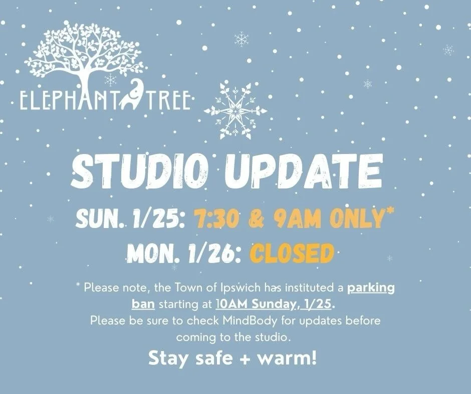 Storm update: please be sure to check MINDBODY before coming to classes! Stay warm and safe, yogis! 🐘🌳❄️☃️
&bull;
&bull;
&bull;
#ety #elephanttreeyoga #ipswichma #ipswichyoga #northshore #northshorema #northshoreyoga #northshoremayoga #poweryoga #p