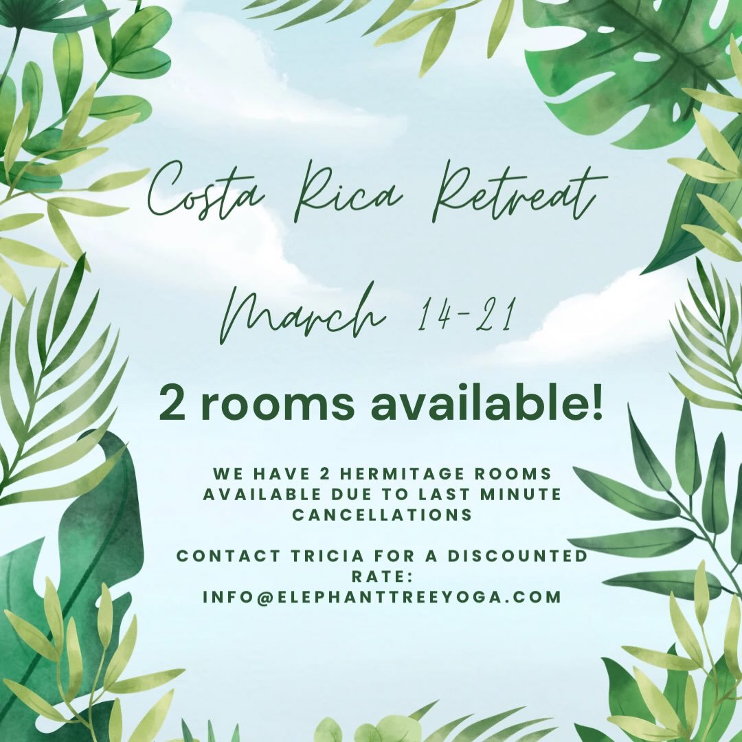 Sick of the snow?! ❄️ there are 2 spots left on our Costa Rica retreat! Contact Tricia for a discounted rate and pack your bags for paradise! 🐘🌳☀️
&bull;
&bull;
&bull;
#ety #elephanttreeyoga #ipswichma #ipswichyoga #northshore northshorema northsho
