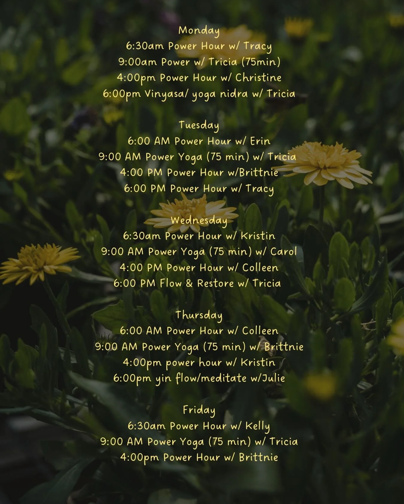 Enjoy the beautiful weather with us this week! 🐘🌳☀️
&bull;
&bull;
&bull;
#ety #elephanttreeyoga #ipswichma #ipswichyoga #northshore northshorema northshoreyoga northshoremayoga poweryoga power vinyasa