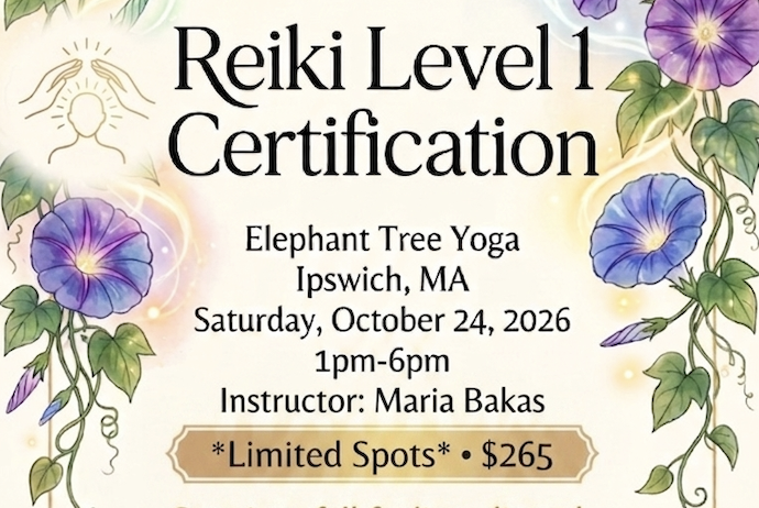 Reiki 1 Certification 