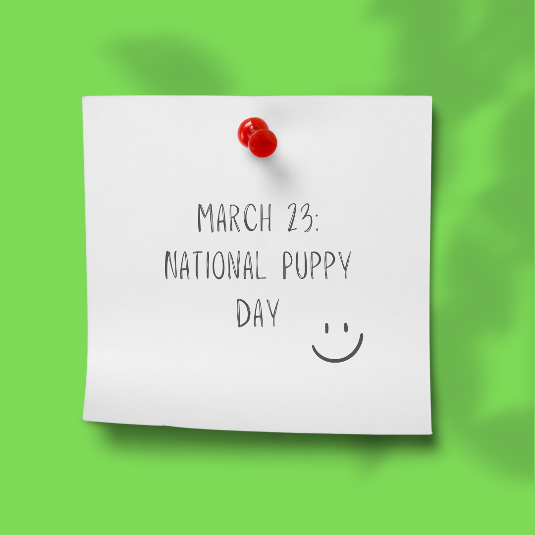MAR 23 | National Puppy Day