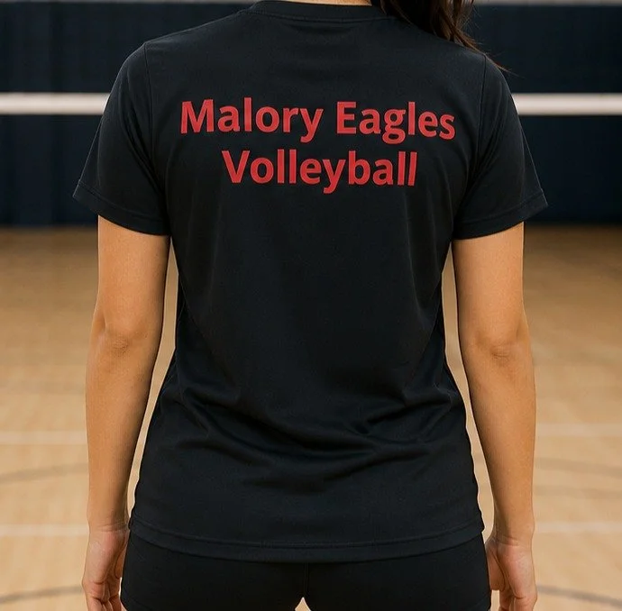 MEVC t-shirt back.jpeg