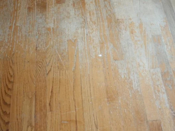 Hardwood floors: Issues and Solutions for Homeowners