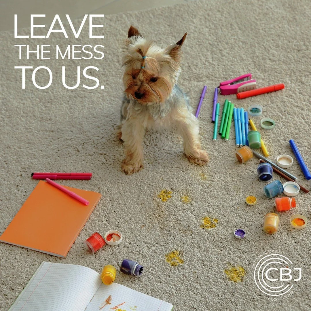Life gets messy&mdash;and that's okay.
Paint spills, muddy paws, juice accidents, and everyday surprises are all part of making a house a home.
When life leaves its mark on your carpet, we're here to help restore it so you can spend less time stressi