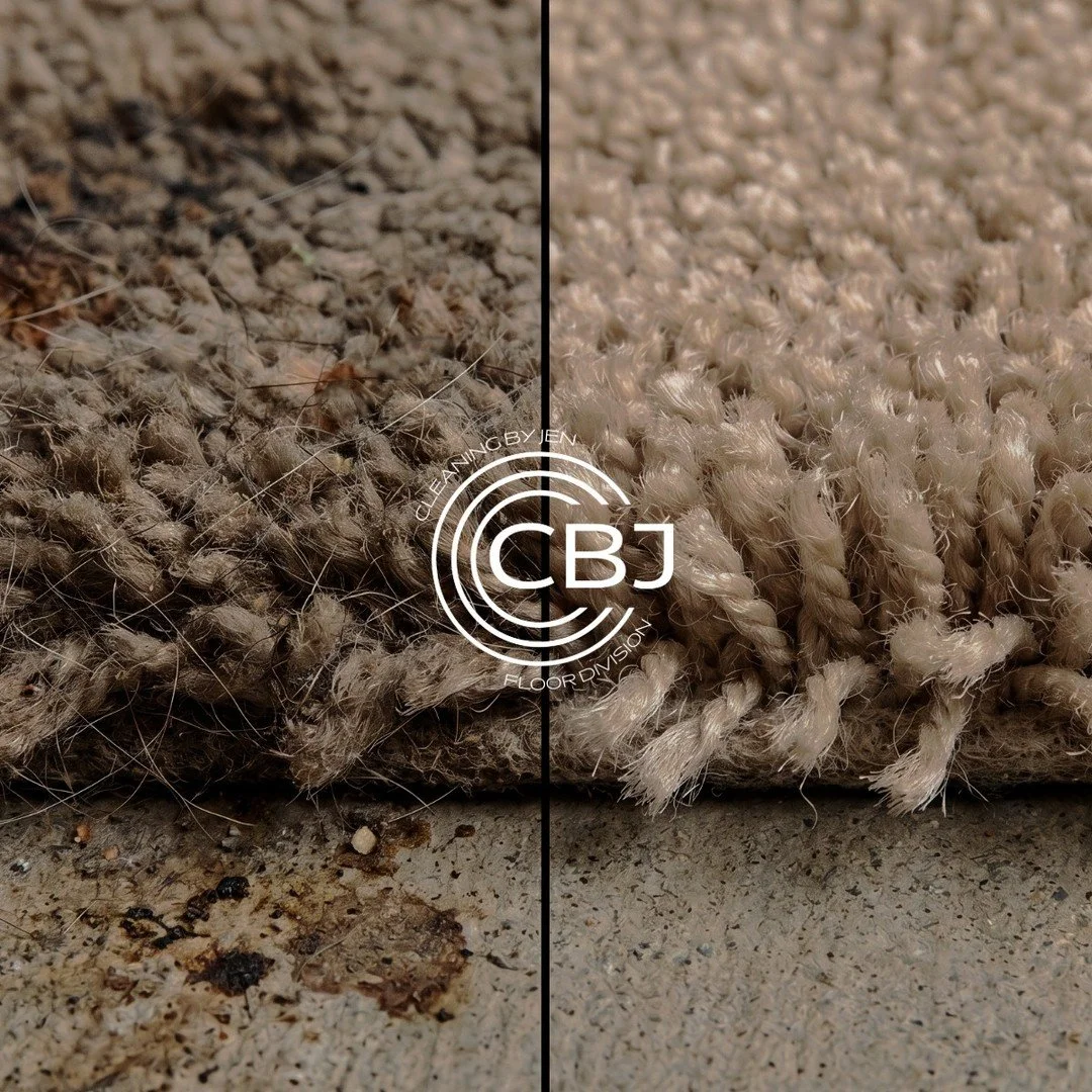 Vacuuming removes what's on top.
Professional carpet cleaning removes the dirt, dust, allergens, pet hair, and grime that settle deep within your carpet fibers over time.
The result? Cleaner carpets, longer carpet life, and a healthier home for every