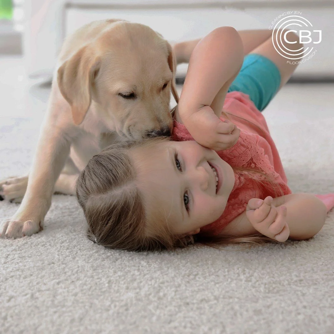 Life happens on your carpets. 🐶❤️ From playtime and pets to everyday spills and messes, we&rsquo;ll help keep the place your family plays looking and feeling fresh. ✨🏡

Because clean carpets are meant to be lived on. 🧼🐾