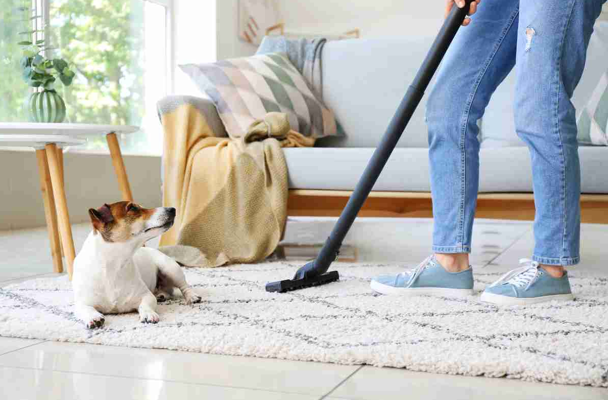 The Hidden Health Benefits of a Clean Home