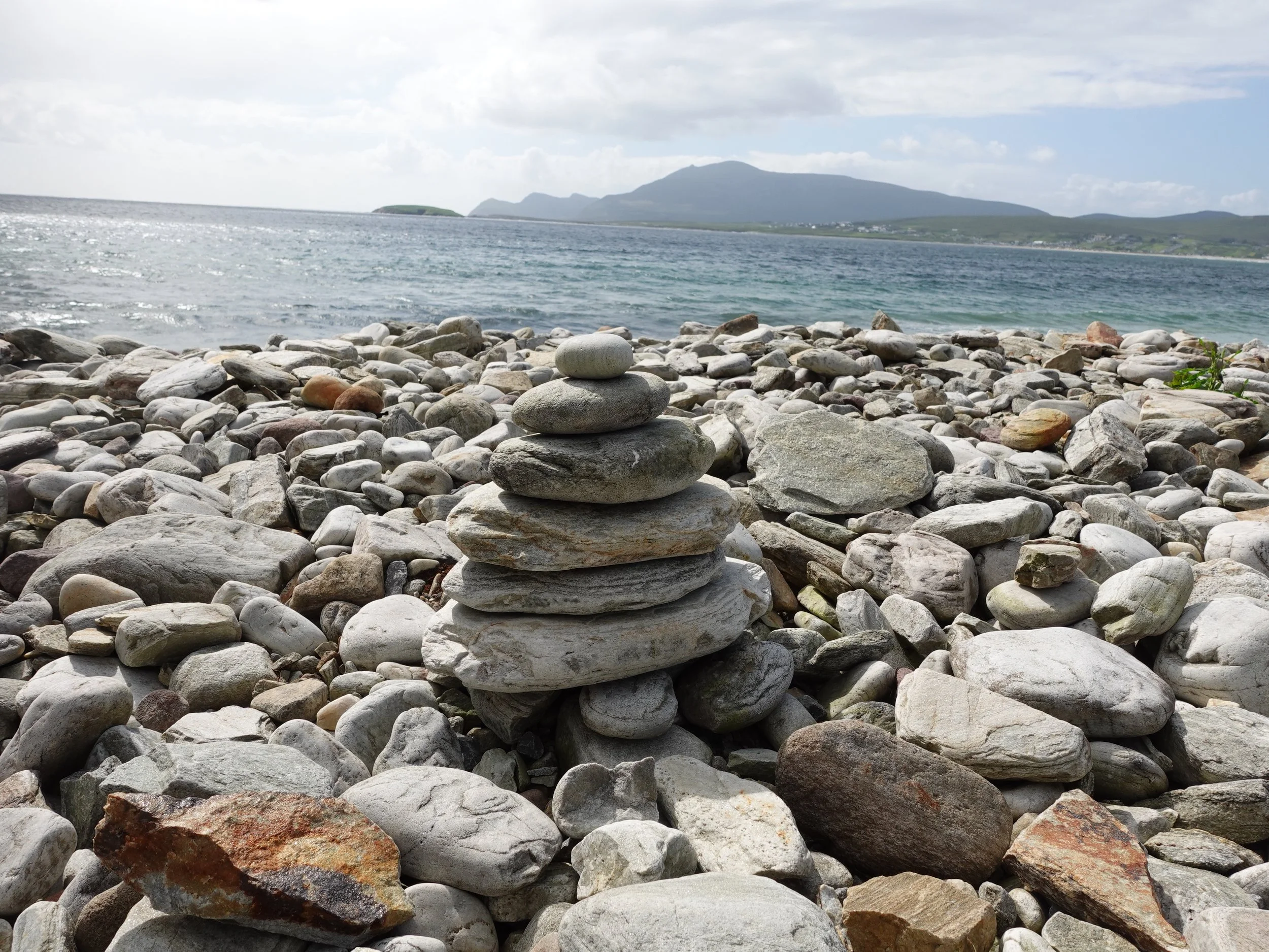 DSC00611 - Copy.JPG