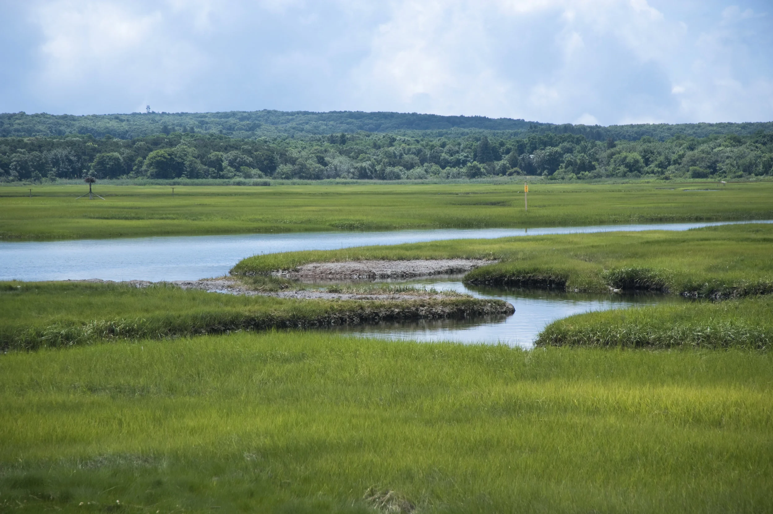 mashpee-salt-marsh.jpg